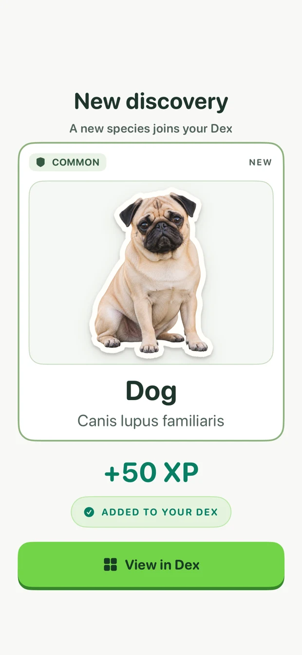 WildCatch screen: a new species, Dog, joins the Dex with 50 XP